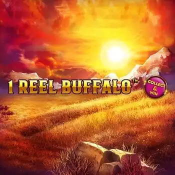 1 Reel Buffalo