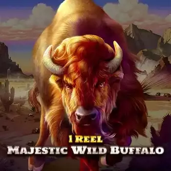 1 Reel - Majestic Wild Buffalo