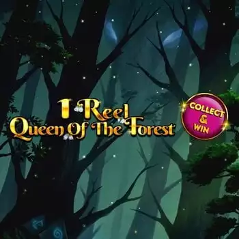 1 Reel - Queen Of The Forest