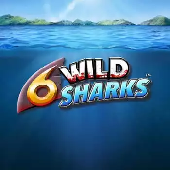 6 Wild Sharks