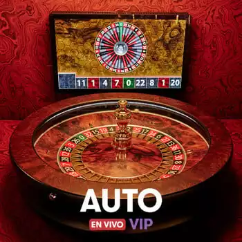 Auto VIP