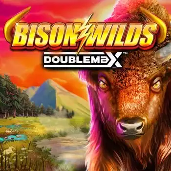 Bison Wilds DoubleMax