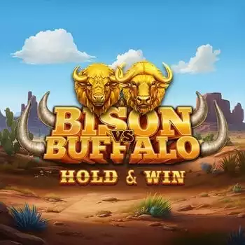 Bison vs Buffalo