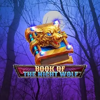 Book Of The Night Wolf