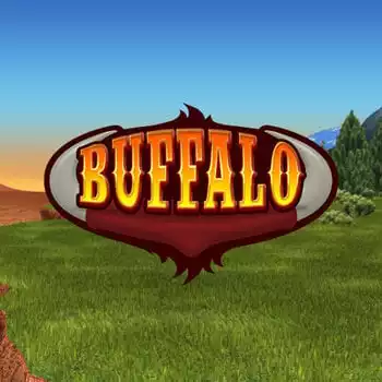 Buffalo Bingo