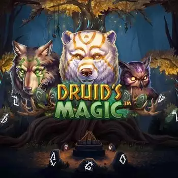 Druid's Magic