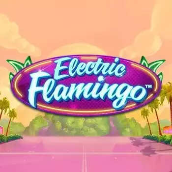 Electric Flamingo