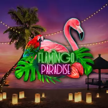 Flamingo Paradise