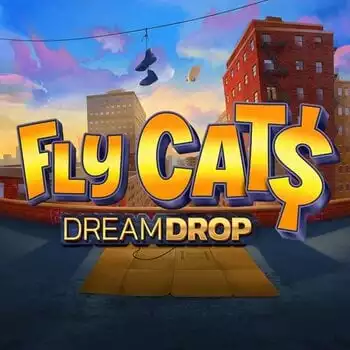 Fly Cats Dream Drop