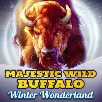 Majestic Wild Buffalo - Winter Wonderland