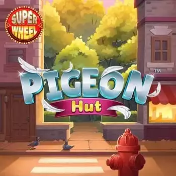 Pigeon Hut