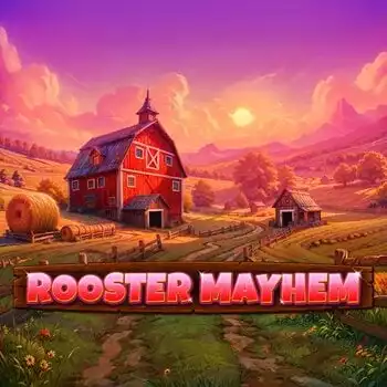 Rooster Mayhem