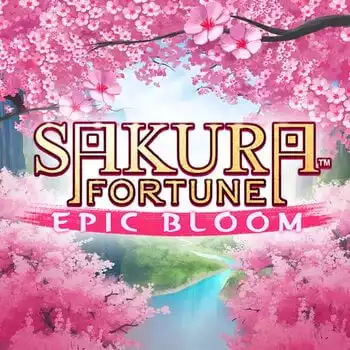 Sakura Fortune Epic Bloom