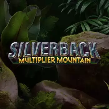 Silverback Multiplier Mountain