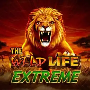 The Wild Life Extreme