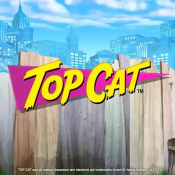 Top Cat