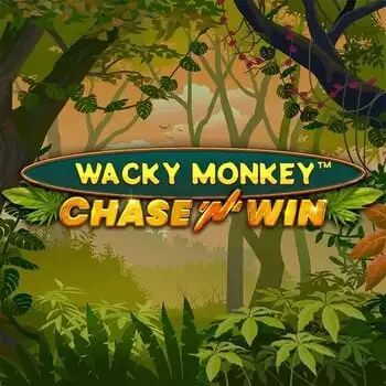 Wacky Monkey ChaseNWin