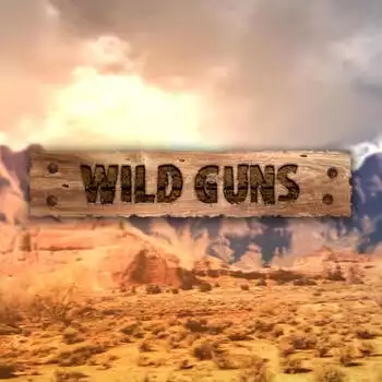 Wild Guns