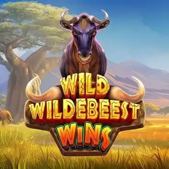 Wild Wildebeest Wins