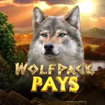 Wolfpack Pays