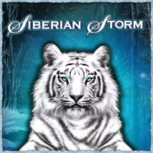 Siberian Storm